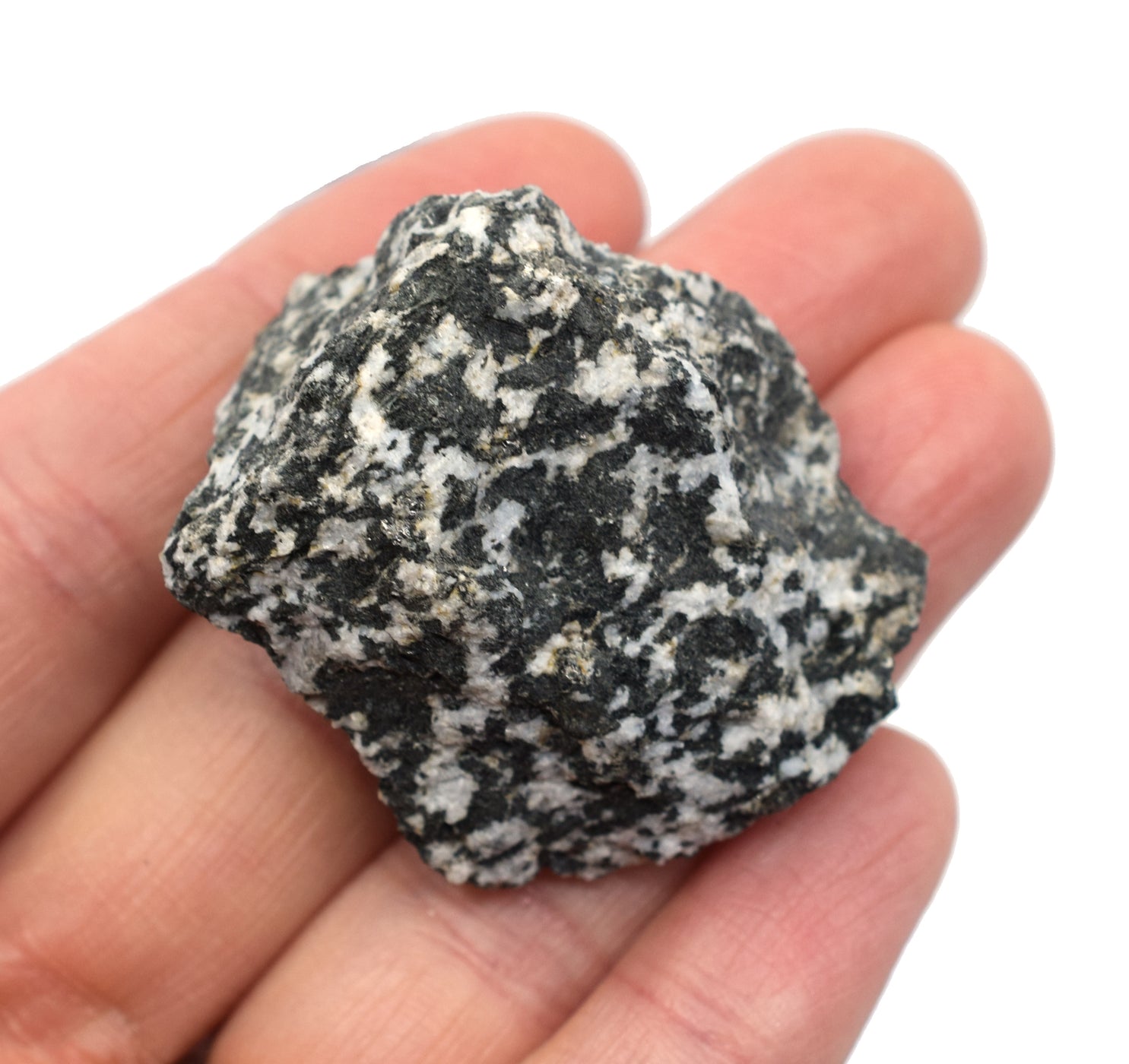 Raw Diorite, Igneous Rock Specimen - Approx. 1