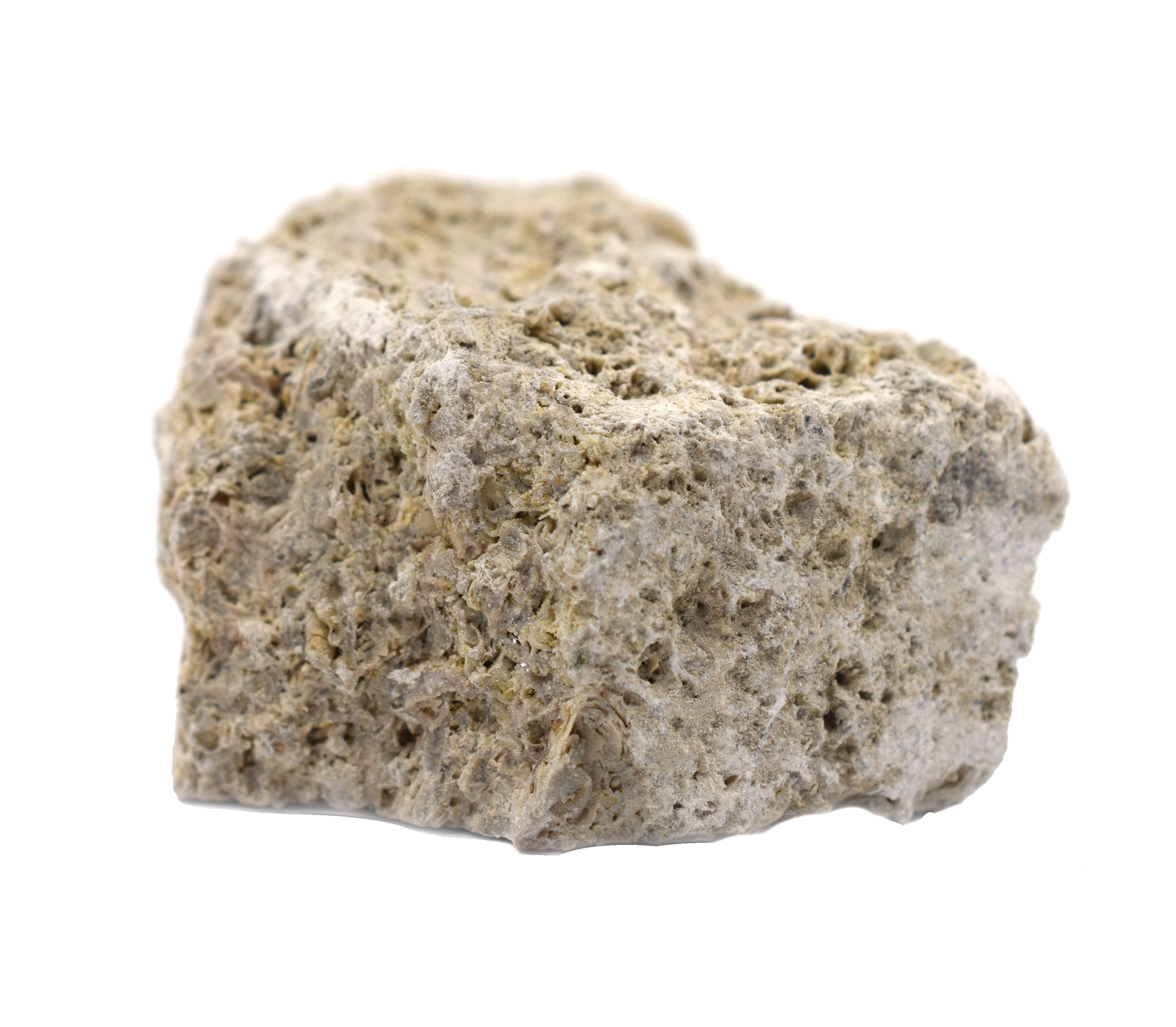 oolitic limestone rock