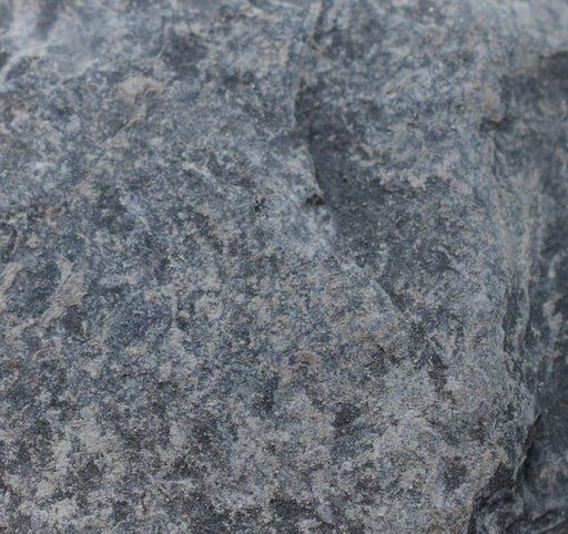 原始碳质页岩、沉积岩样本-约1“
