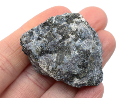 原始辉长岩火成岩标本，1“-地质学家选择样品-埃斯科实验室欧宝体育官网进入
