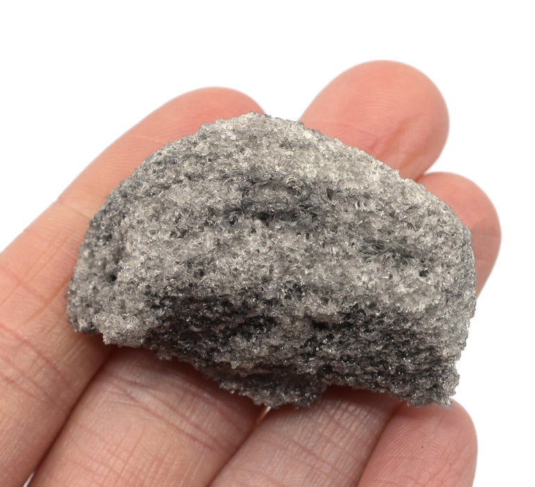 粗浮石火成岩标本，1“-地质学家选择样品-埃斯科实验室欧宝体育官网进入