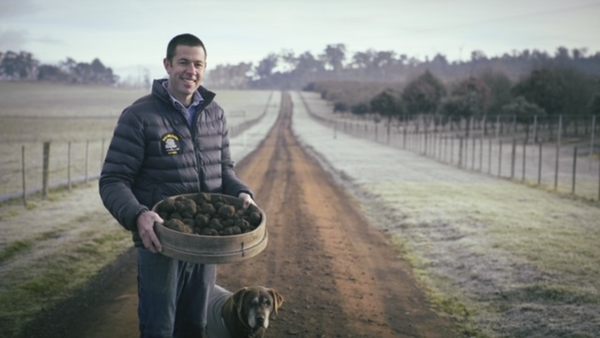 Tamar Valley Truffle Tim