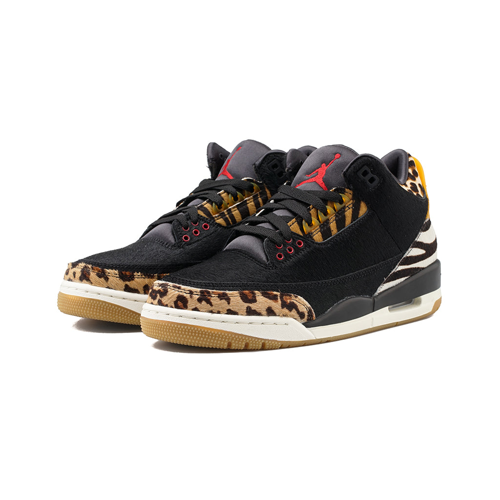 Air Jordan 3 Retro SE (Black/Multi 