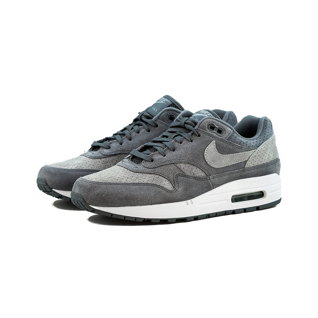 Air Max 1 Premium (Cool Grey/Wolf Grey 