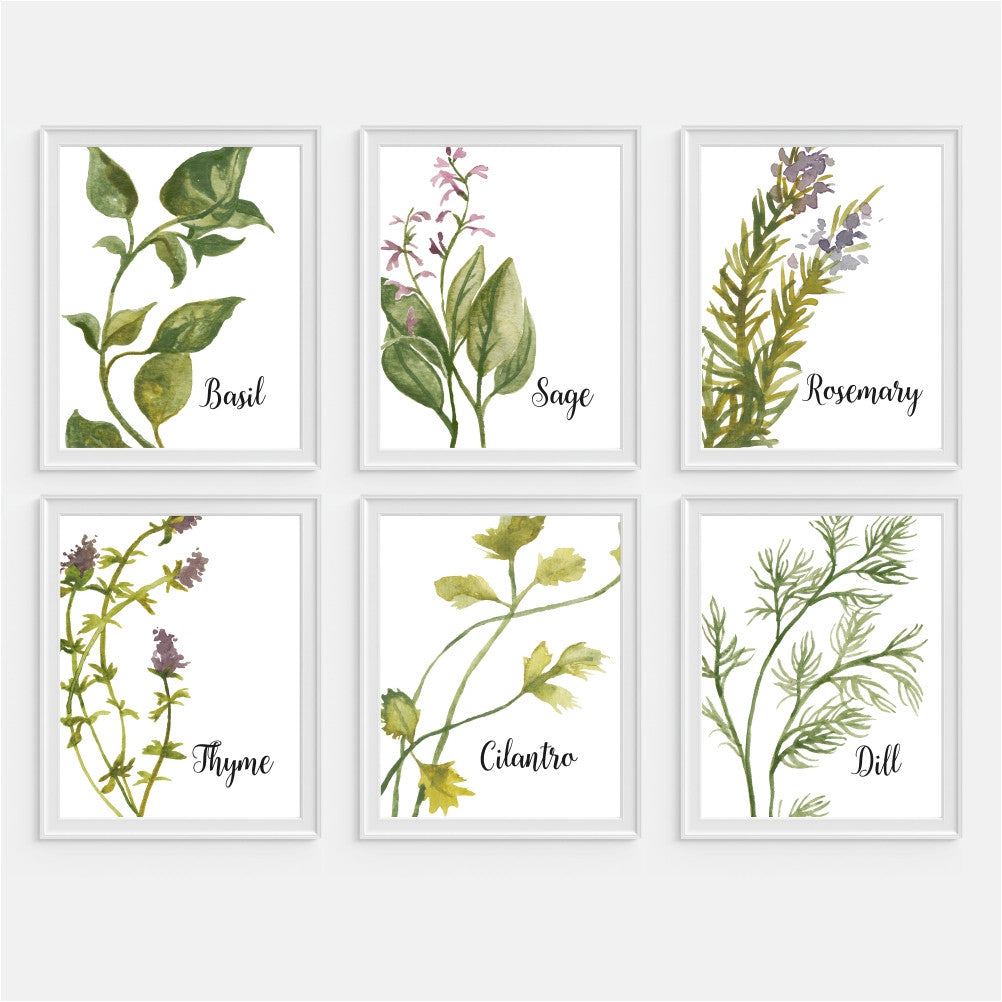 Watercolor Herb Collection Wall Art Set Of Six Picturality