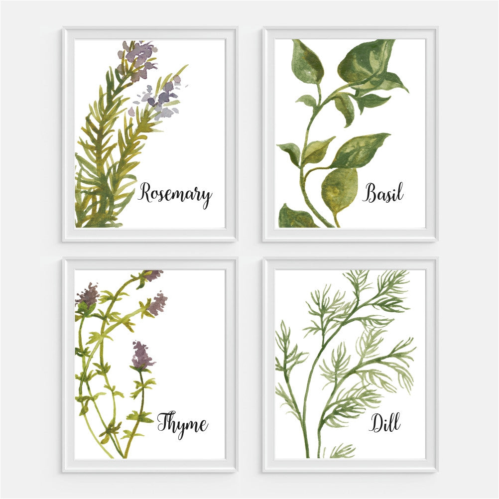 Watercolor Herb Collection Wall Art Set Of Four Picturality