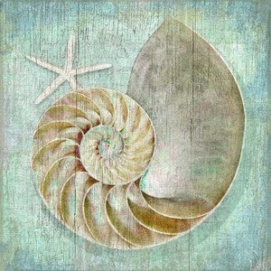 Nautilus Shell Coastal Artwork Wood Print