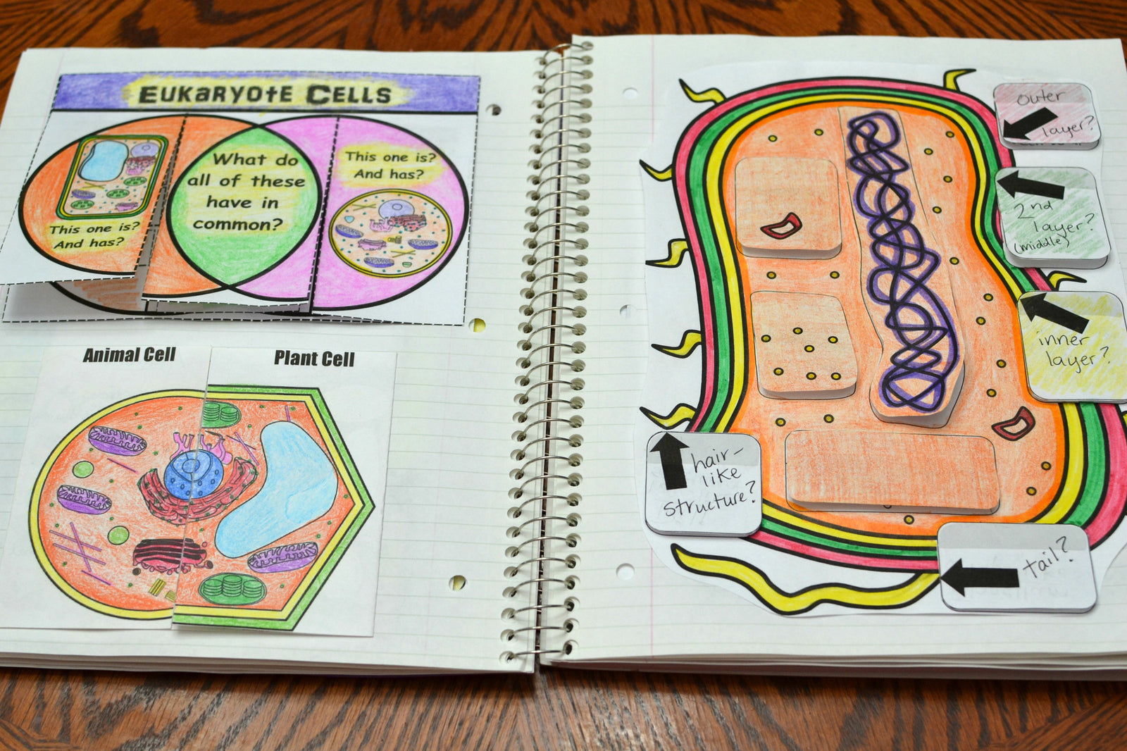 science-interactive-notebook-cells-math-in-demand