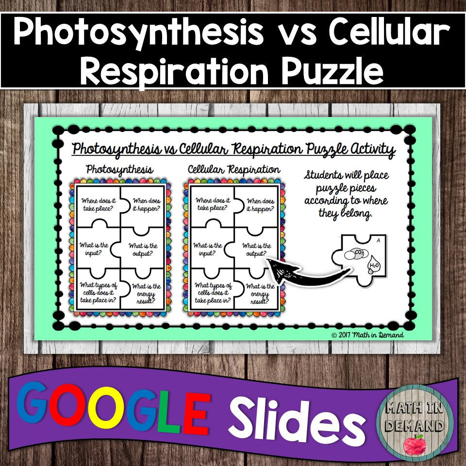 cellular respiration coloring worksheet