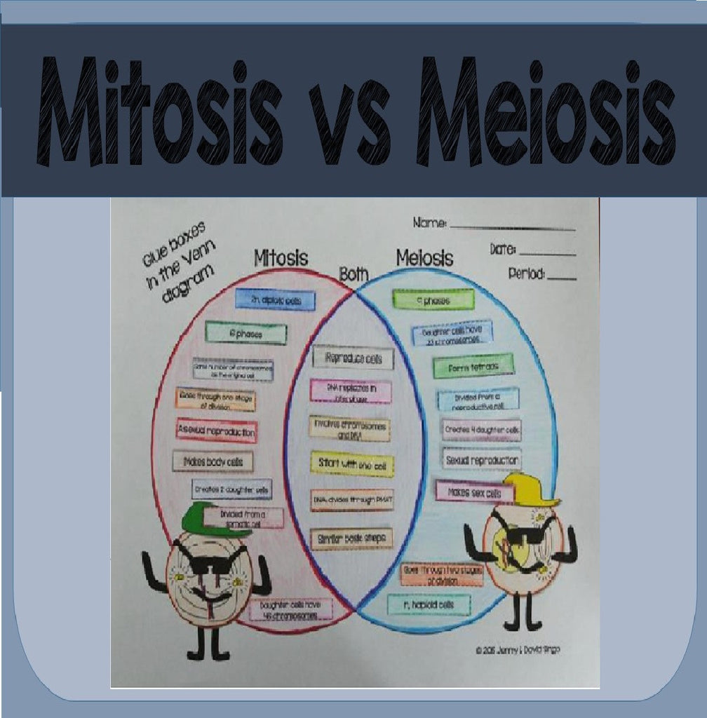 Mitosis vs Meiosis - Math in Demand