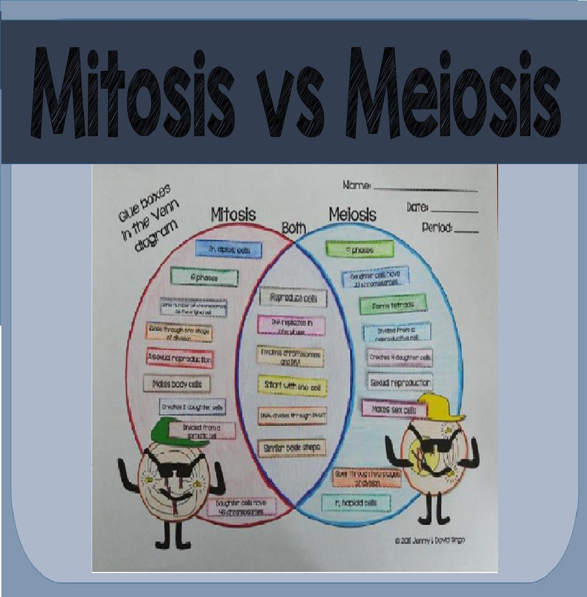 mitosis vs meiosis flip book