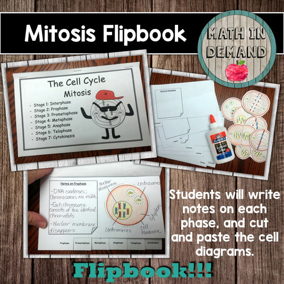 40 cards of a mitosis flip book