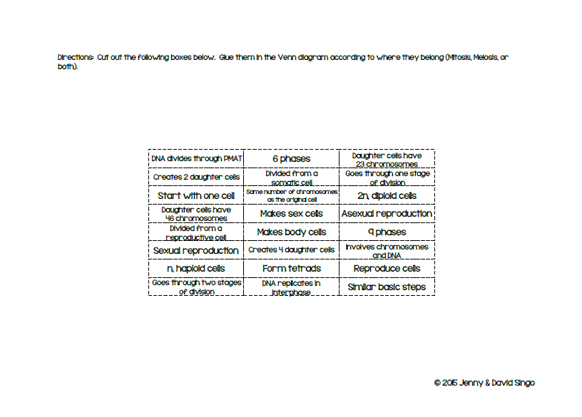 Mitosis Vs Meiosis Math In Demand