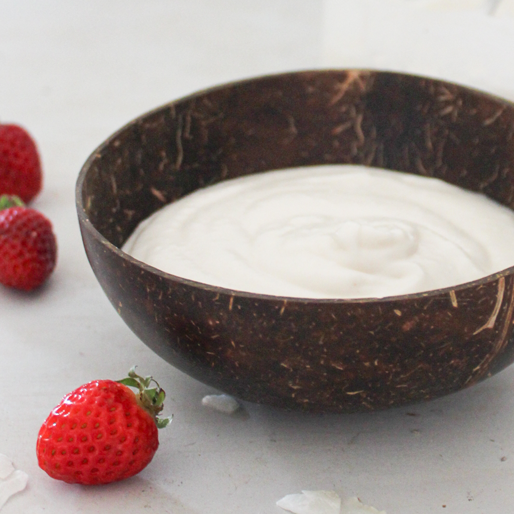 Best coconut milk for homemade coconut yogurt