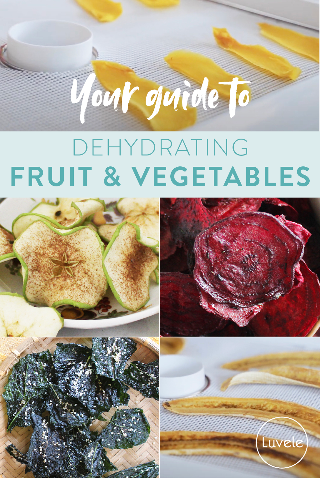 Dehydrating fruit pretreatment & drying times + chart - Luvele AU