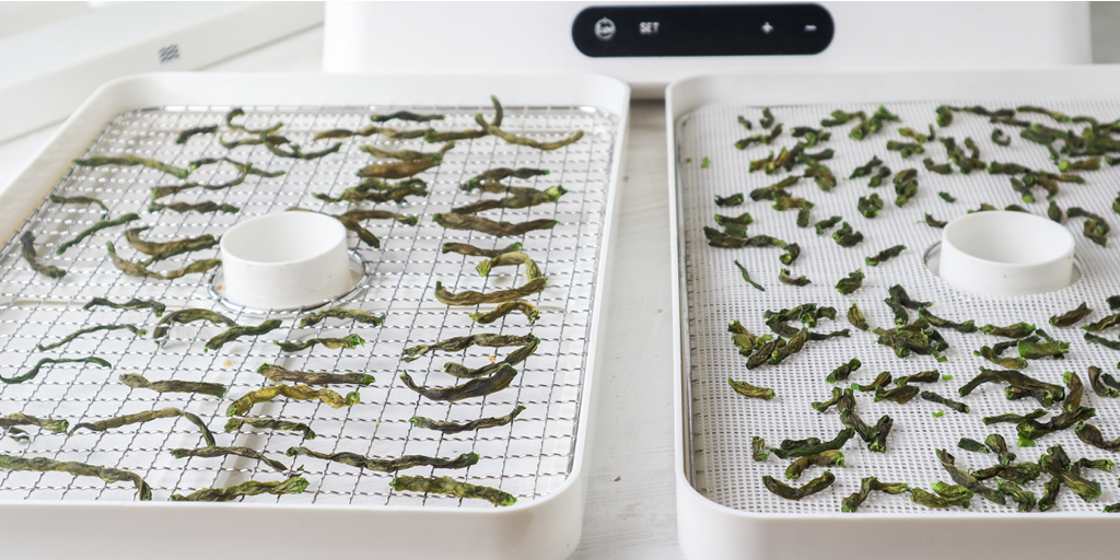 dehydrated green beans