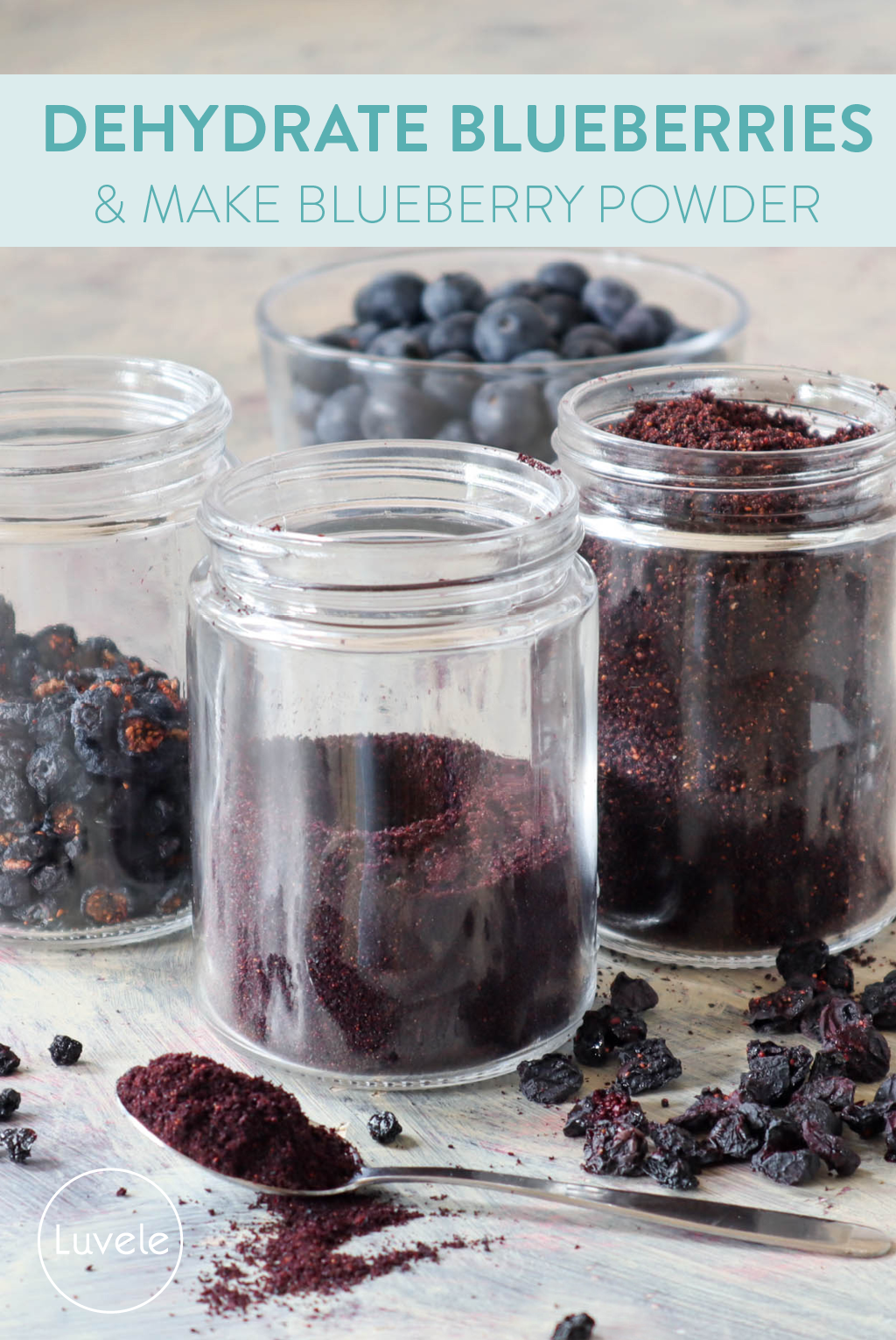 dehydrated blueberries and blueberry powder