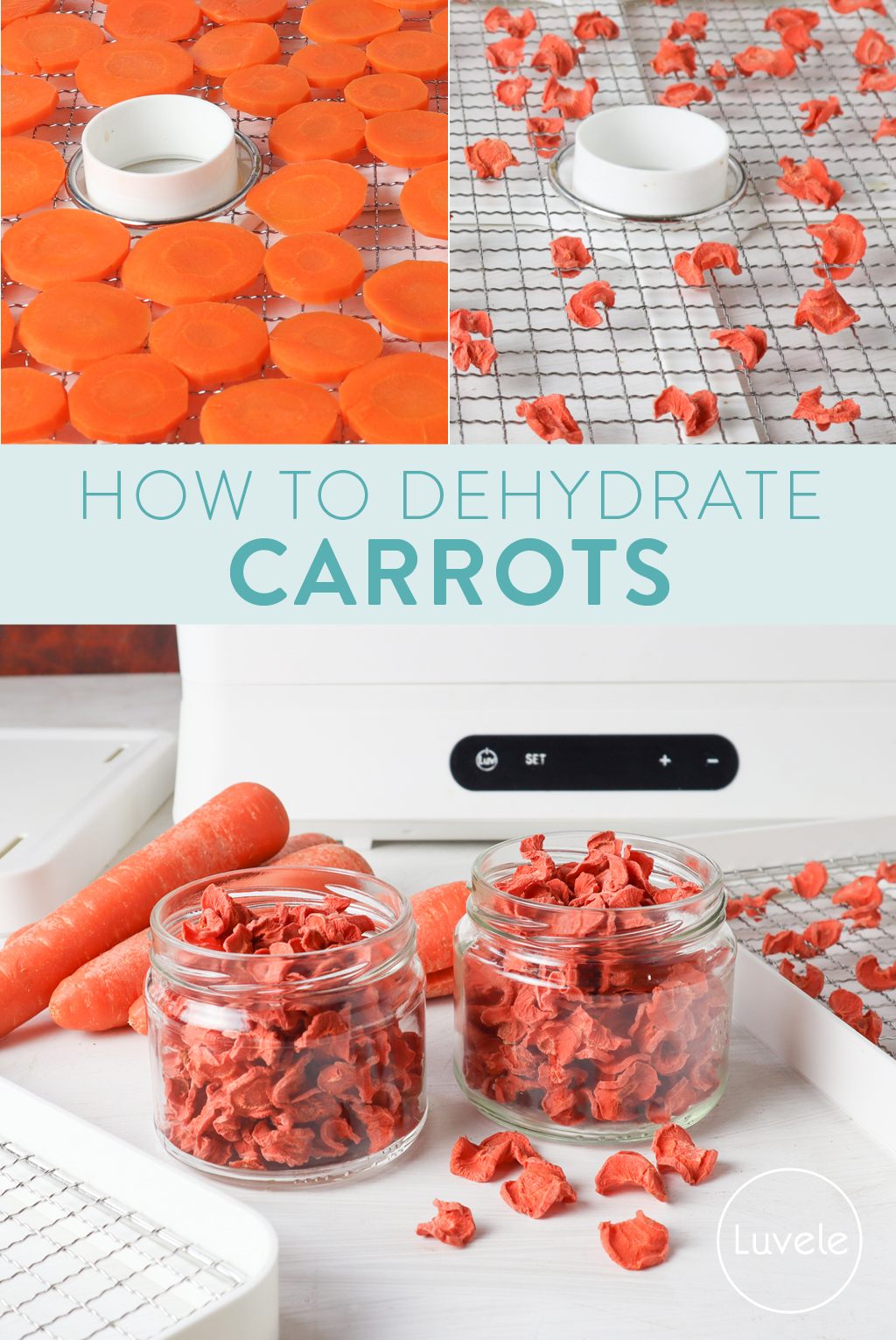 dehydrated carrots