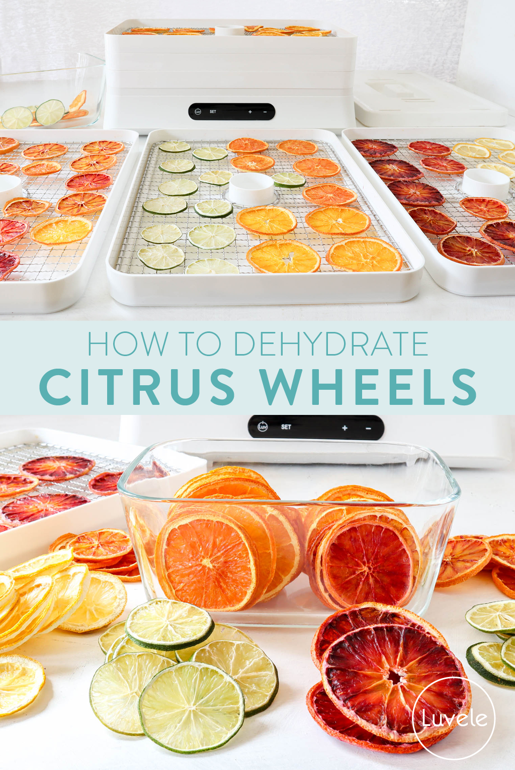 Dehydrated citrus wheel