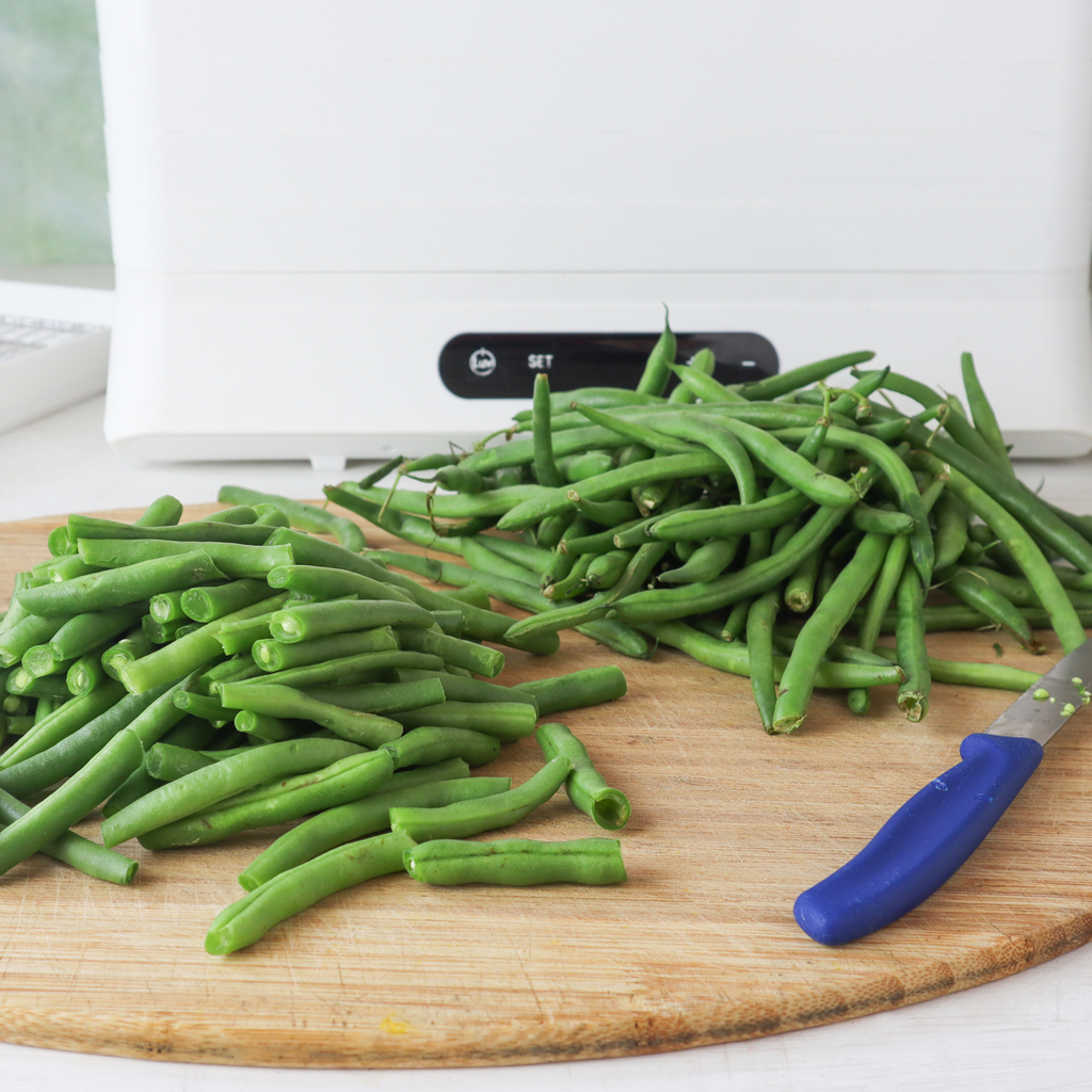 how to dehydrate fresh beans