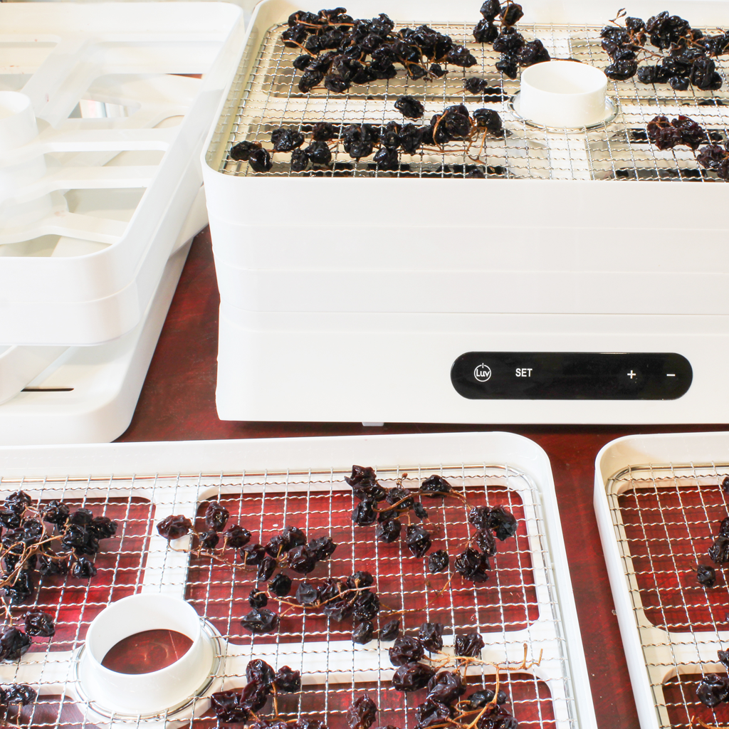 dehydrating muscatel grapes