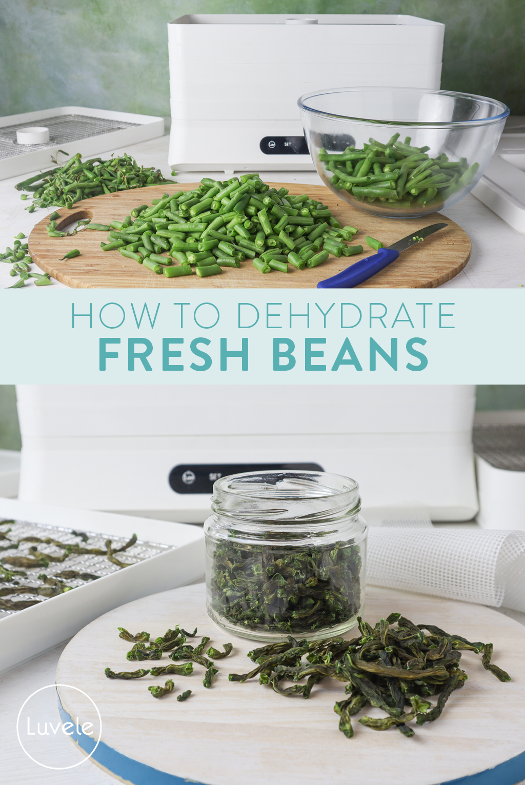 how to dehydrate fresh beans