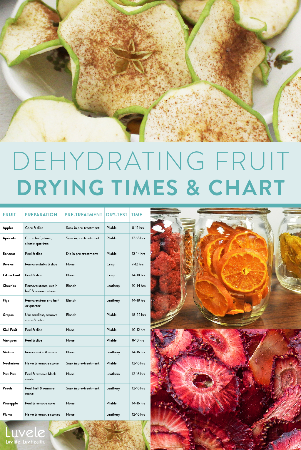 dehydrating fruit information chart
