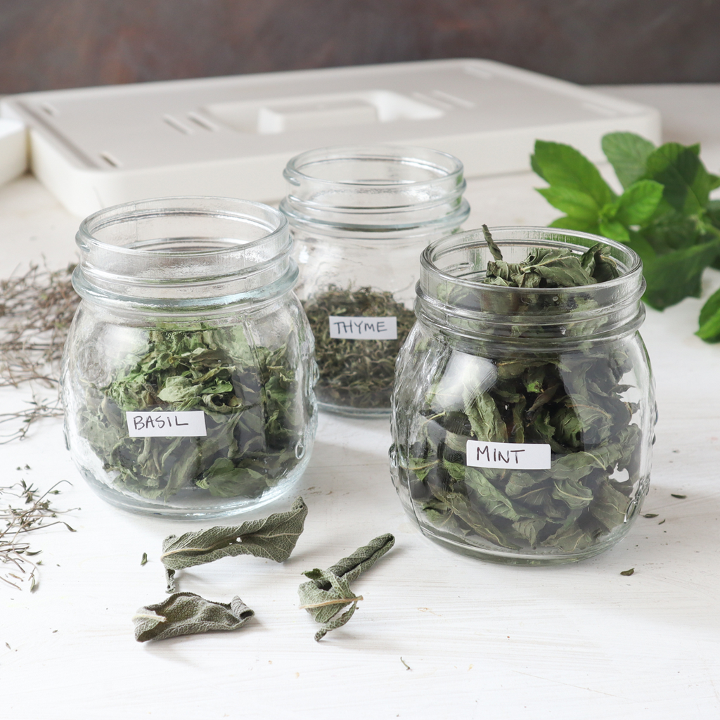 How to Dry Your Own Herbs in a Dehydrator - Roots & Boots