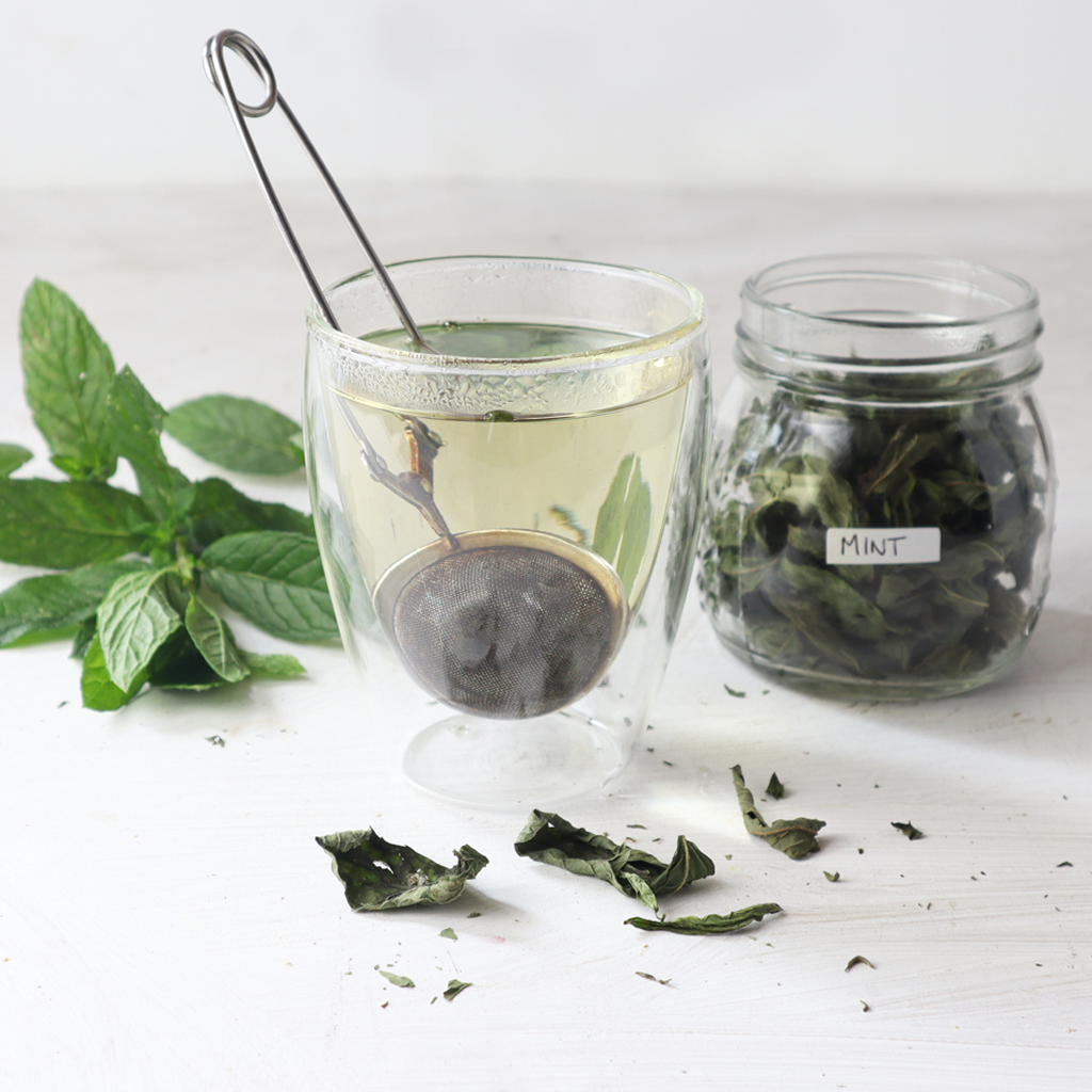 how to dehydrate herbs