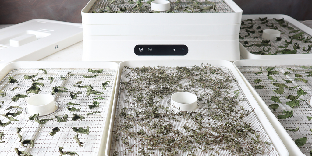 dehydrating herbs