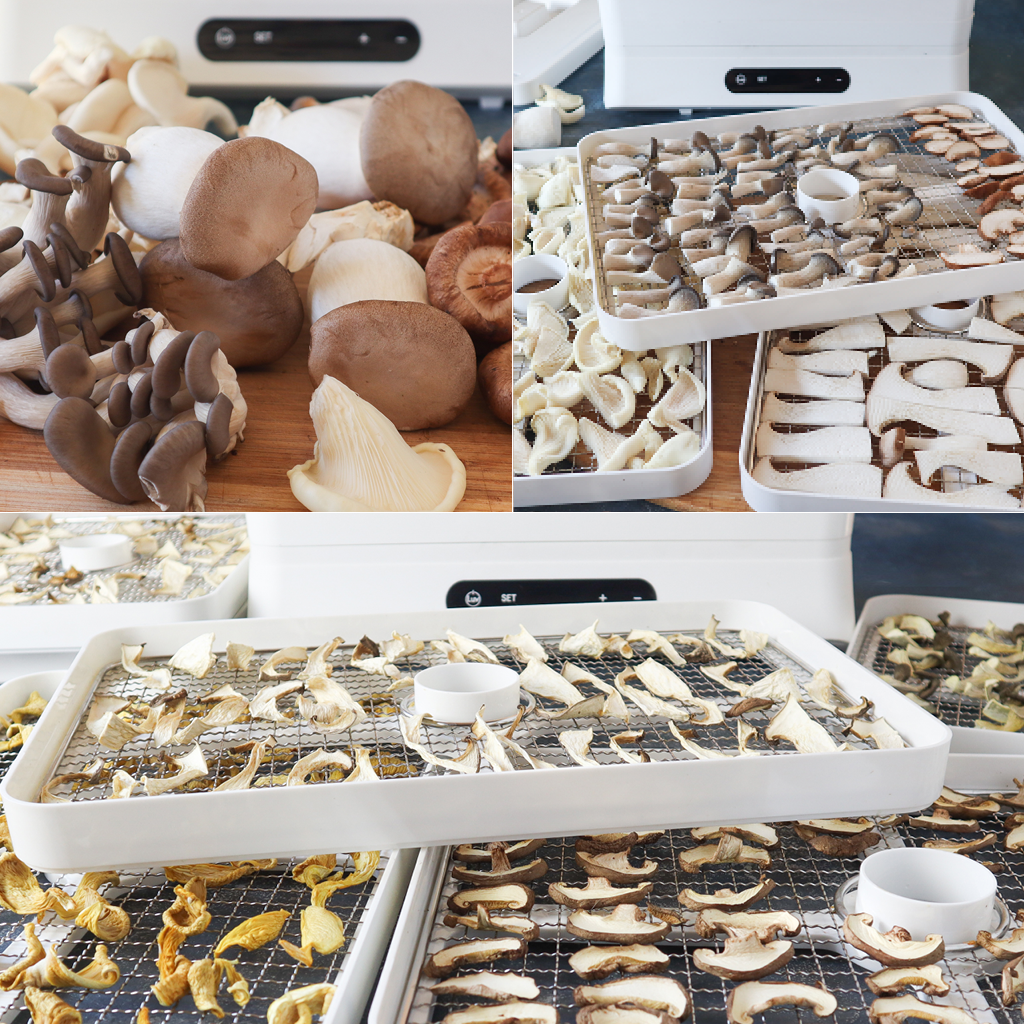 How to Dehydrate Mushrooms in 3 Simple Steps • Six Dollar Family