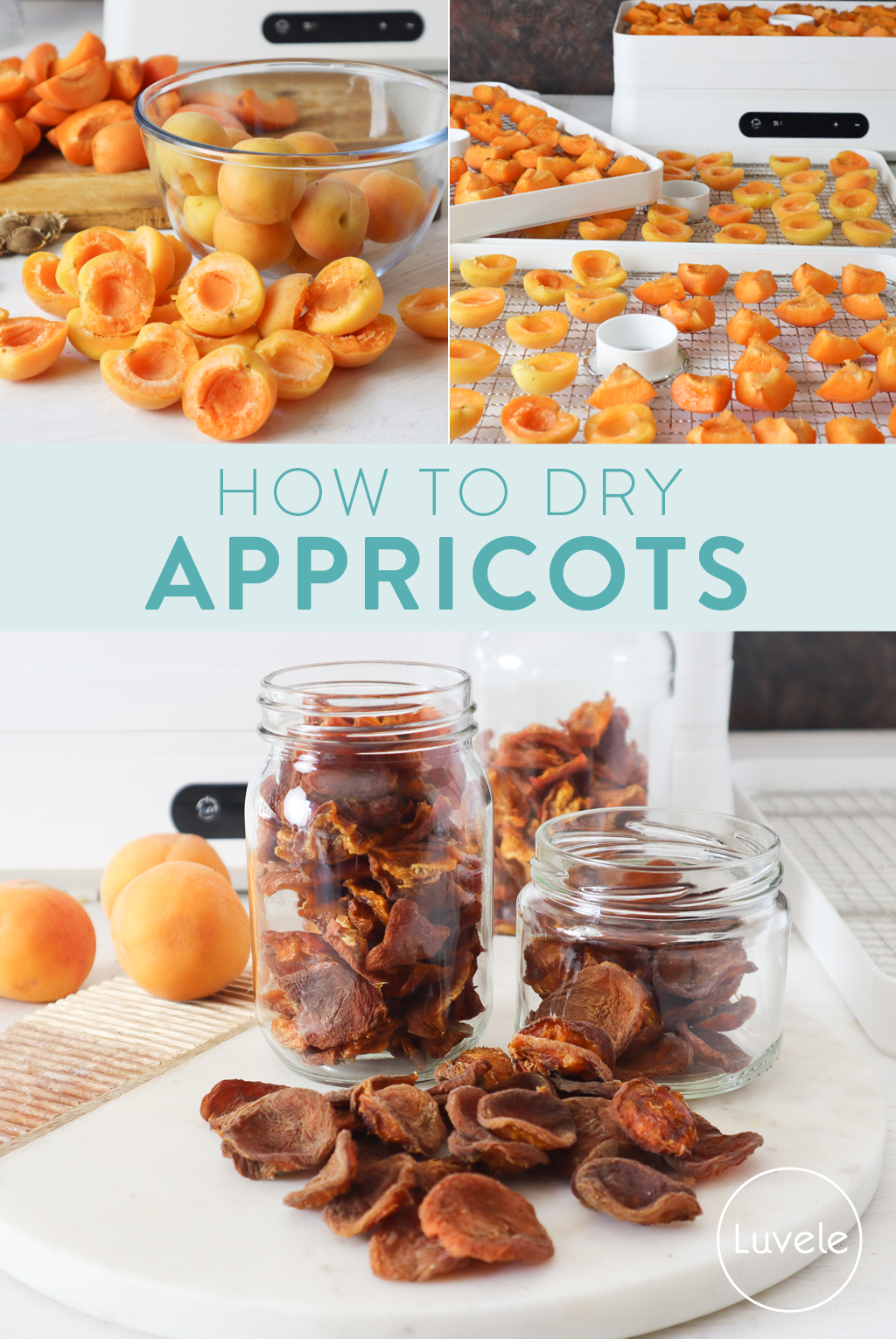 how to dry apricots