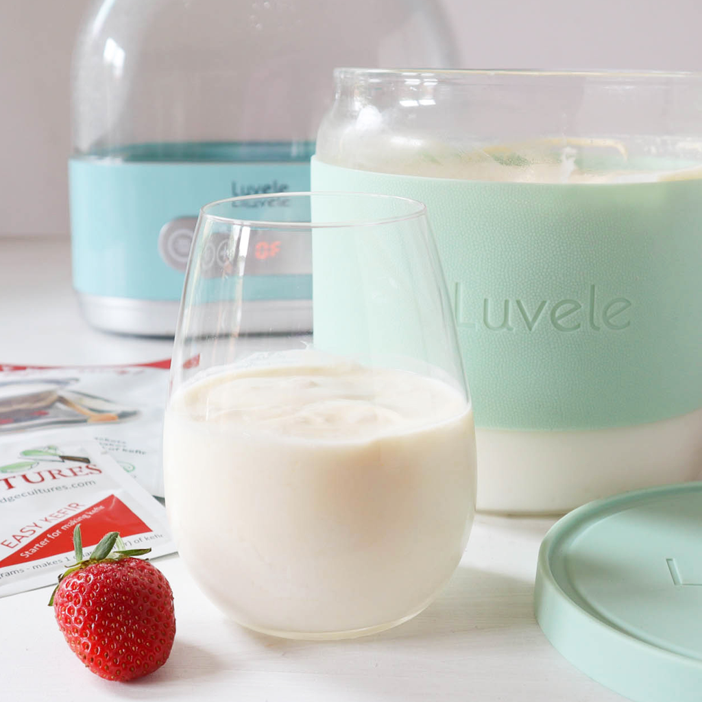 Steba JM3, JM3, yogurt maker, yogurt maker, yogurt and kefir make milk  kefir yourself