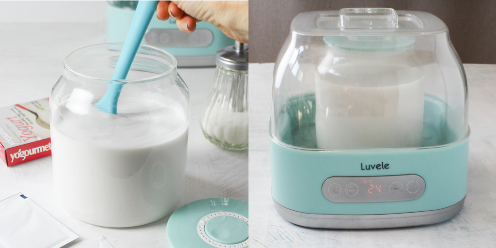 coconut yogurt maker