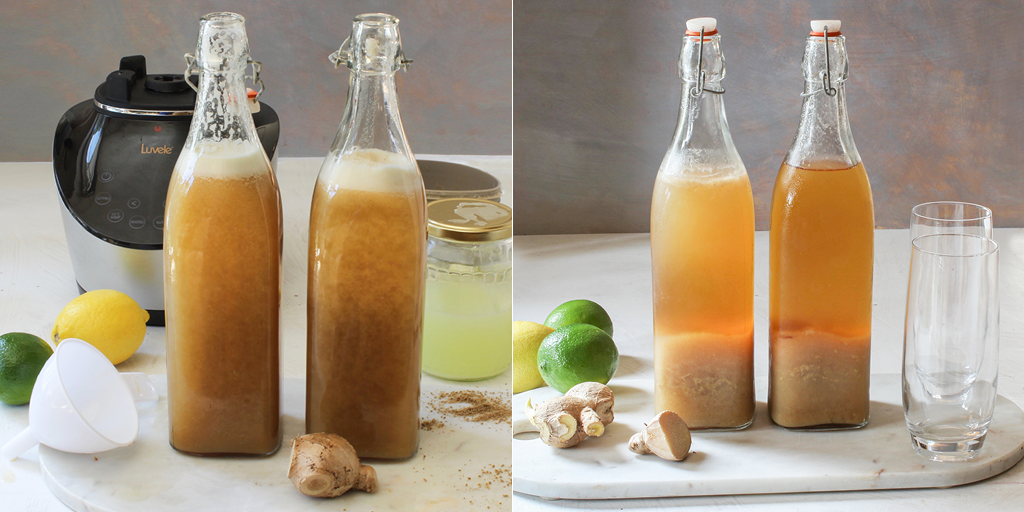 homemade ginger ale recipe