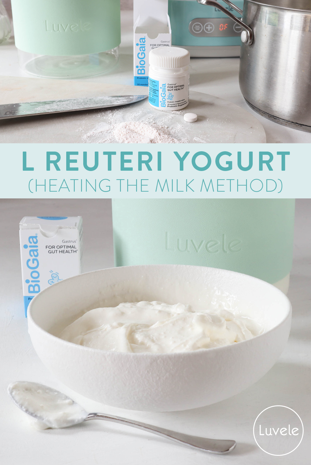 L reuteri yogurt