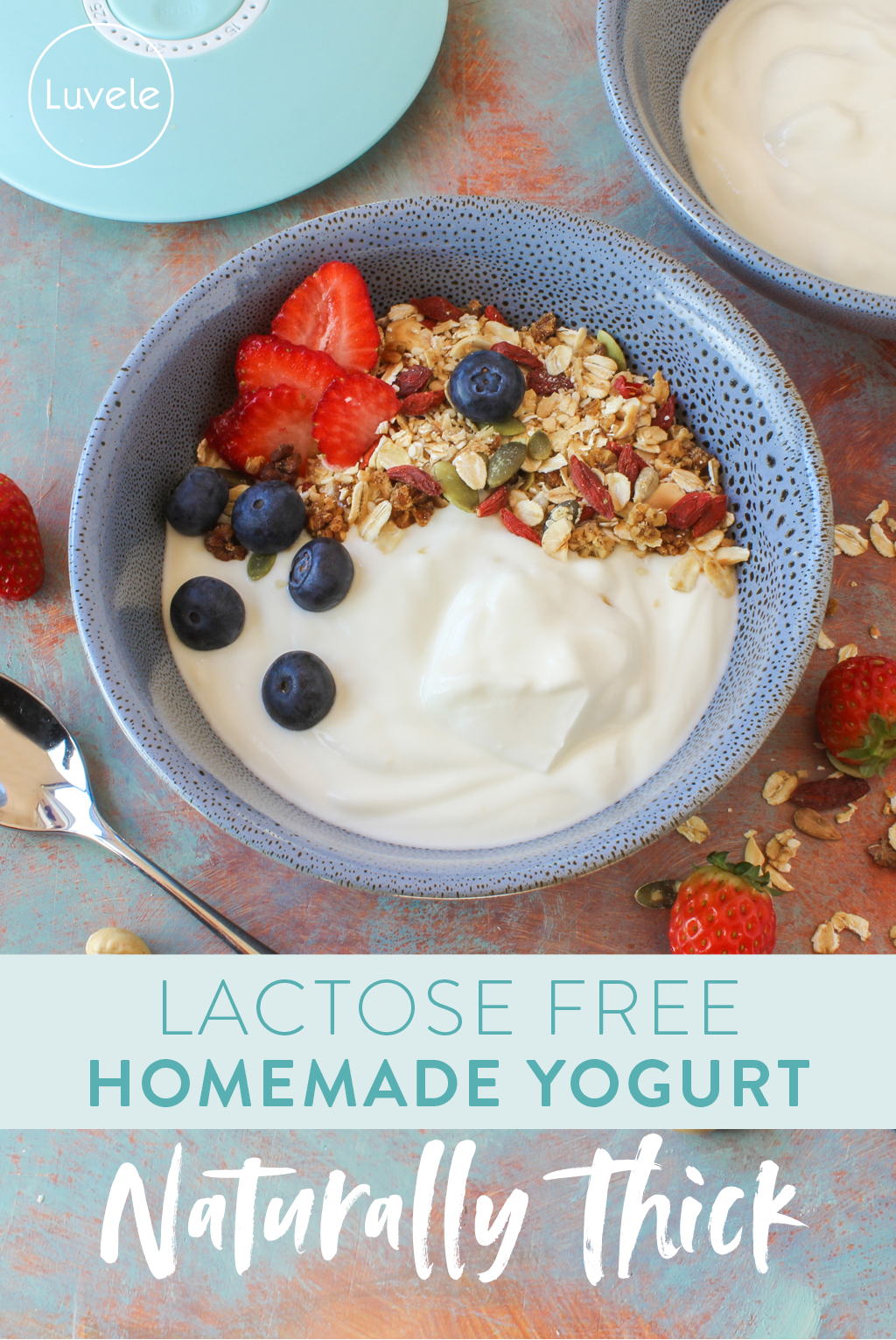 lactose free homemade yogurt