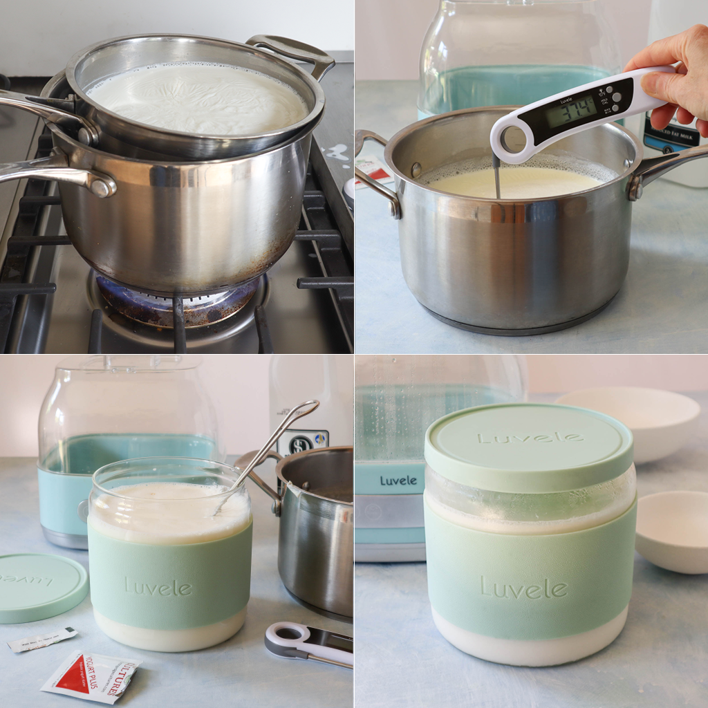 skim milk yogurt recipe steps