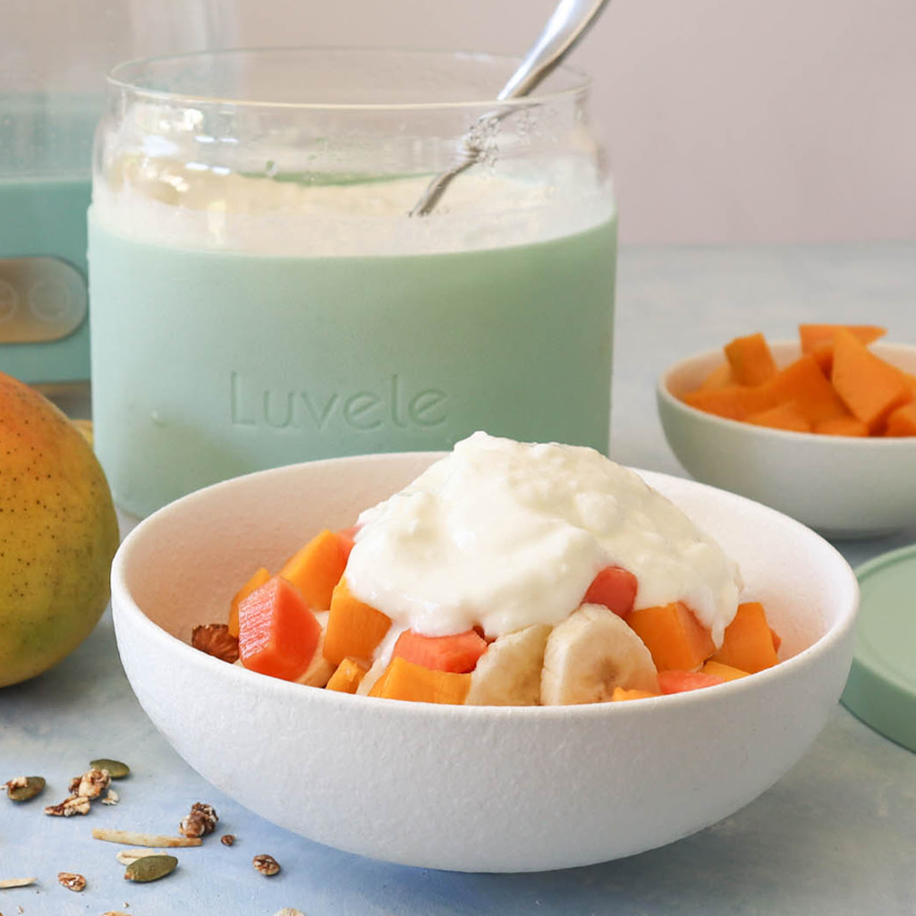 Homemade low-fat and skim milk yogurt recipe - Luvele US
