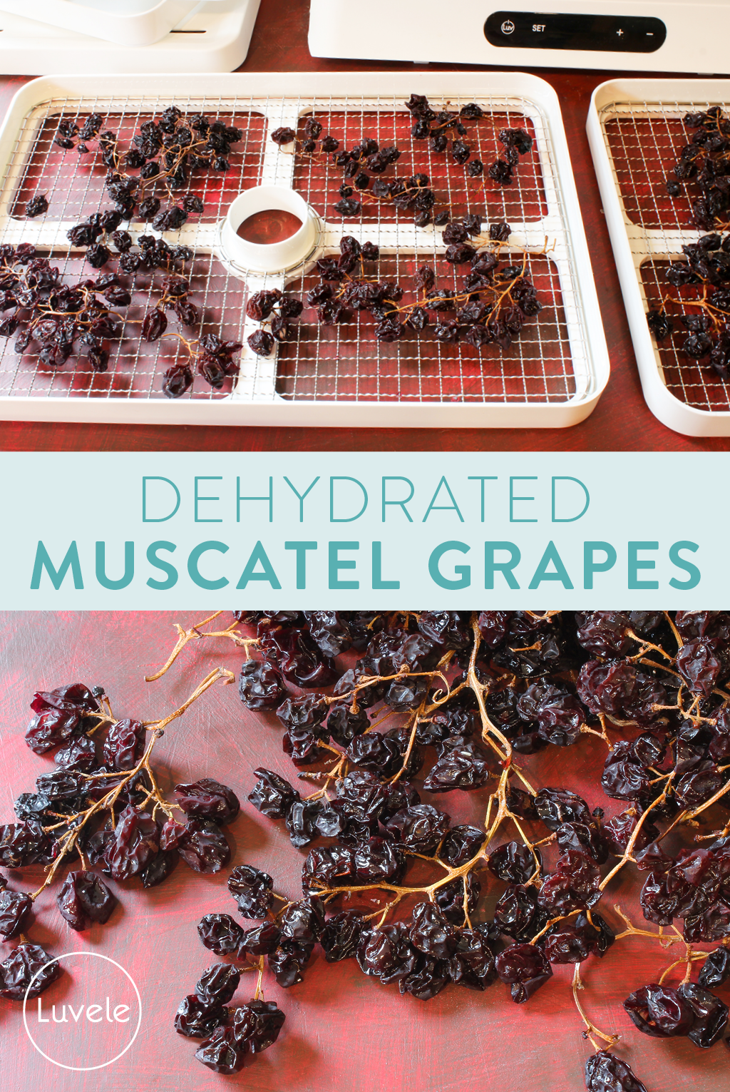 dehydrating muscatel grapes