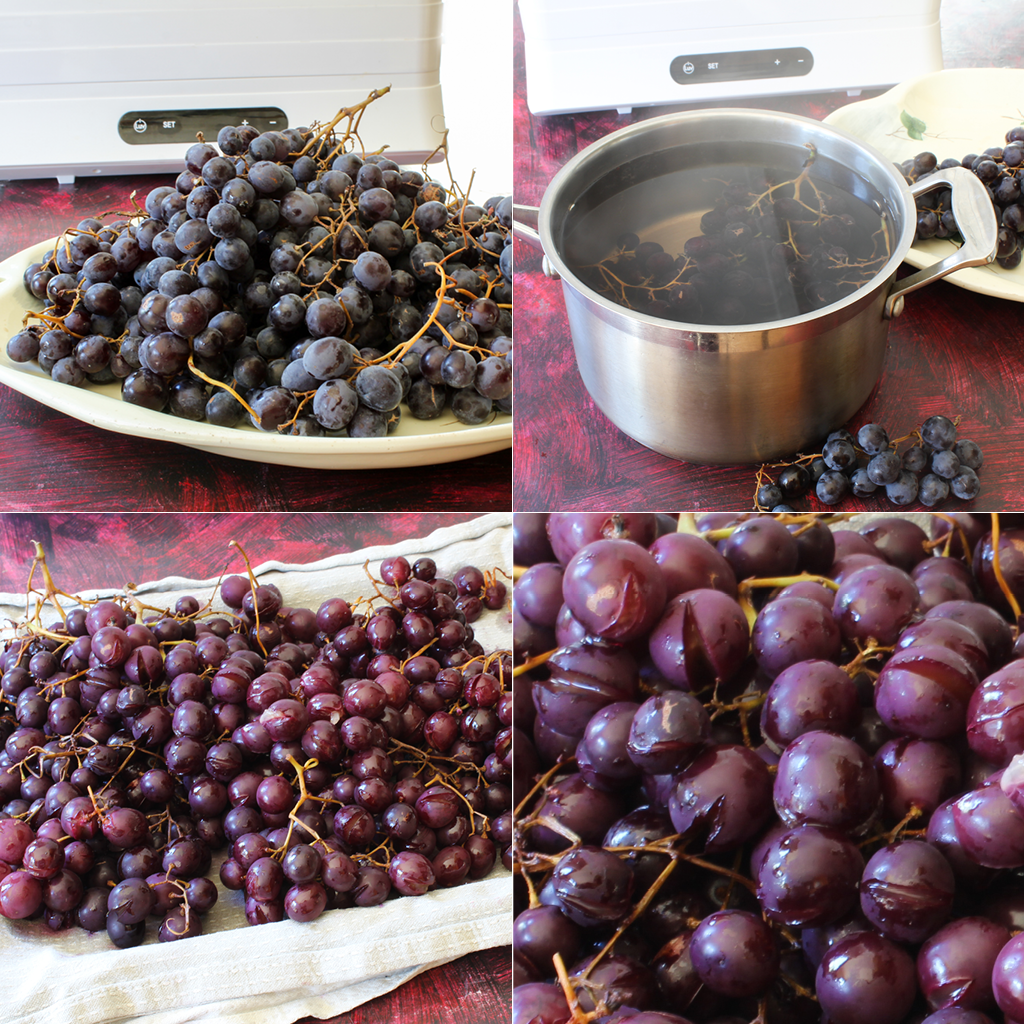 how to dehydrate muscatel grapes