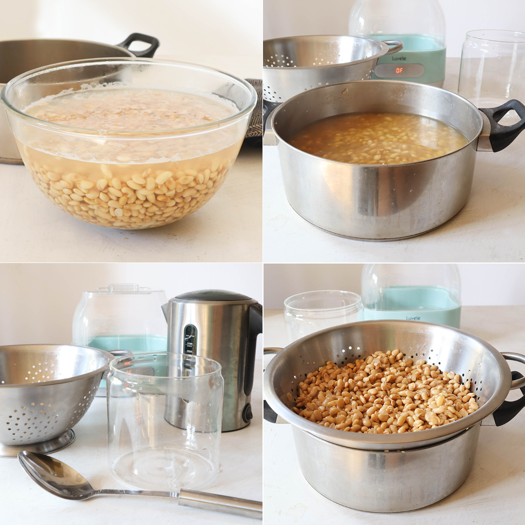 Make Natto at home