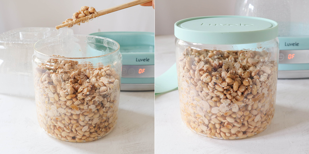 How to make Natto (fermented soybeans) in a yogurt maker - Luvele US