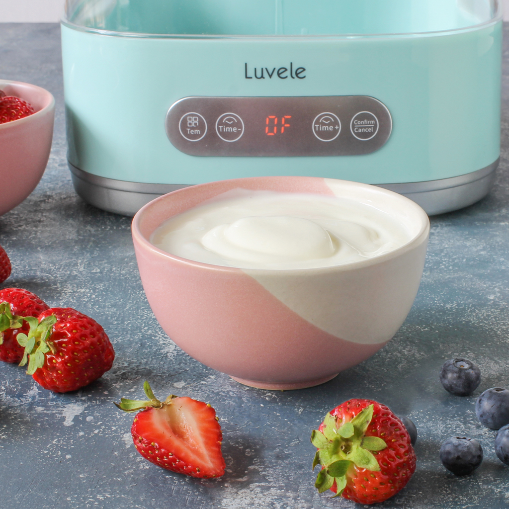 How to make probiotic yogurt at home - Luvele AU
