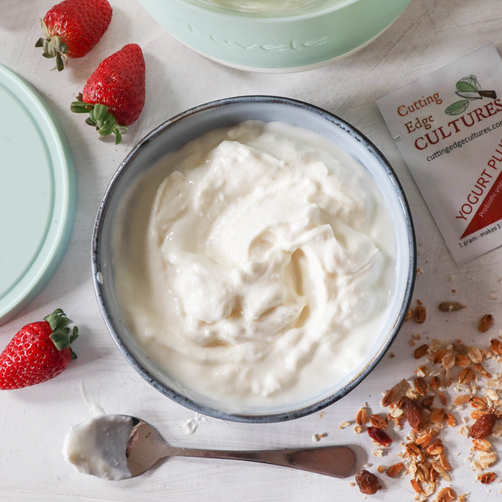 probiotic yogurt