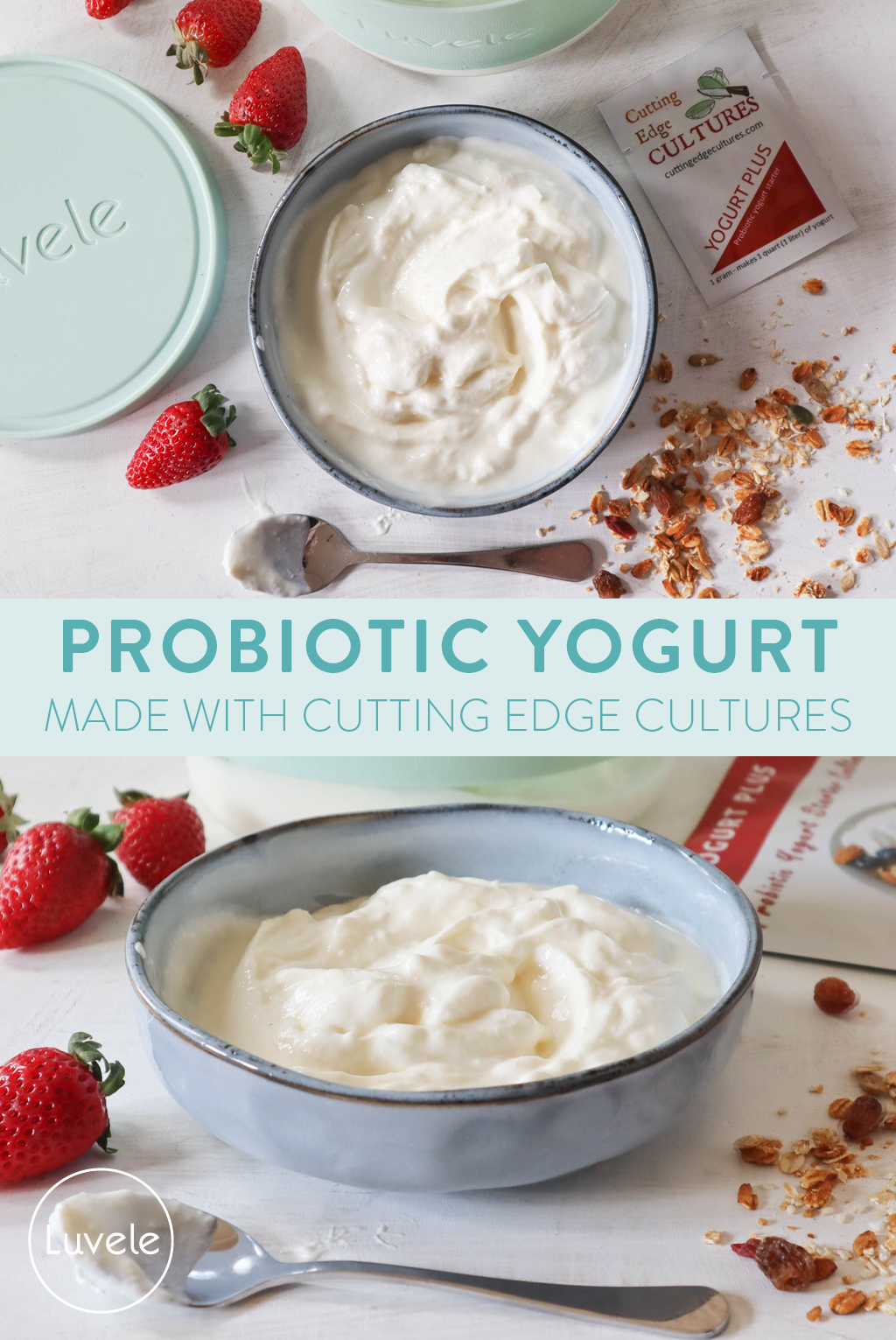 Probiotic Yogurt starter culture