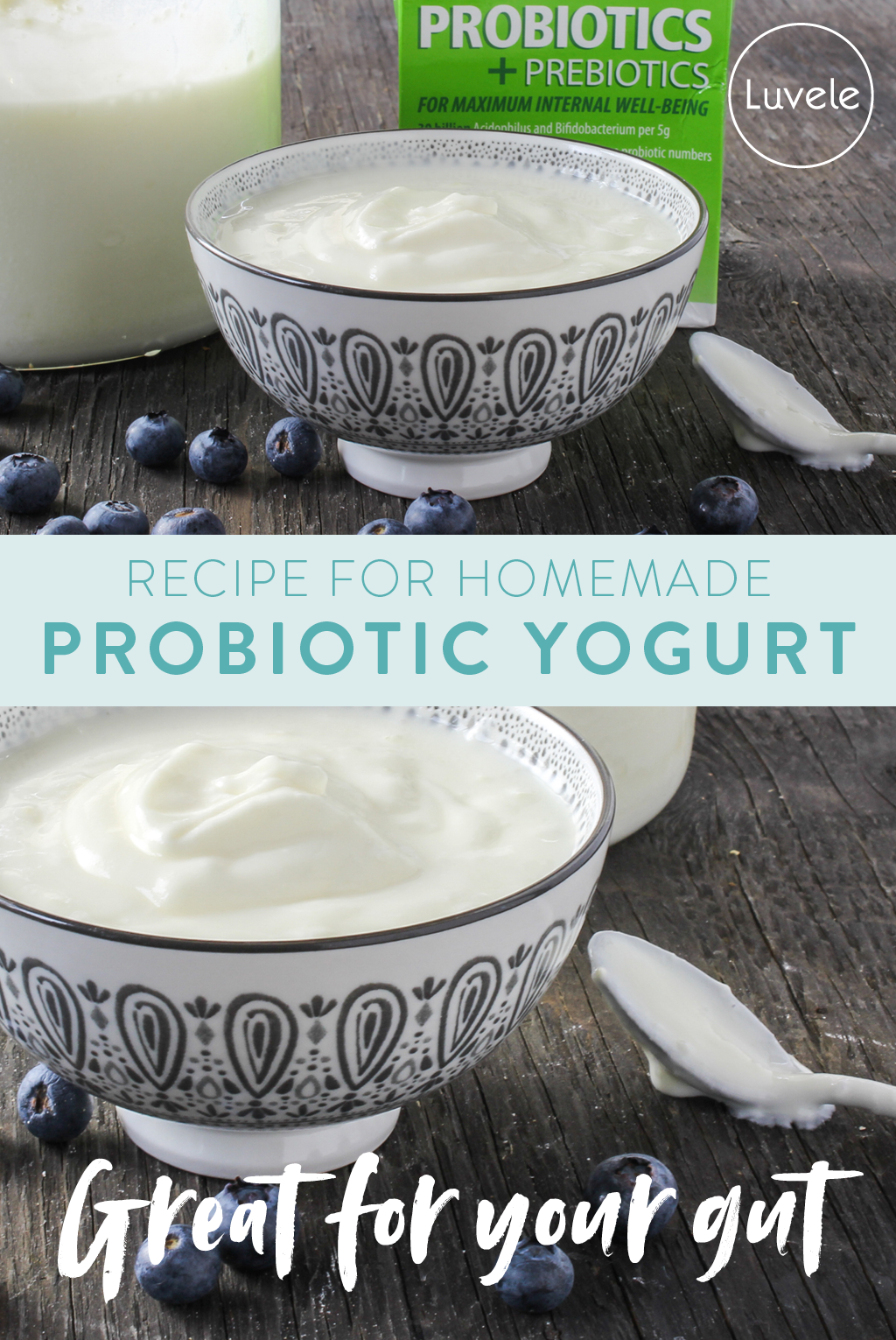 ProGood probiotic homemade yogurt recipe