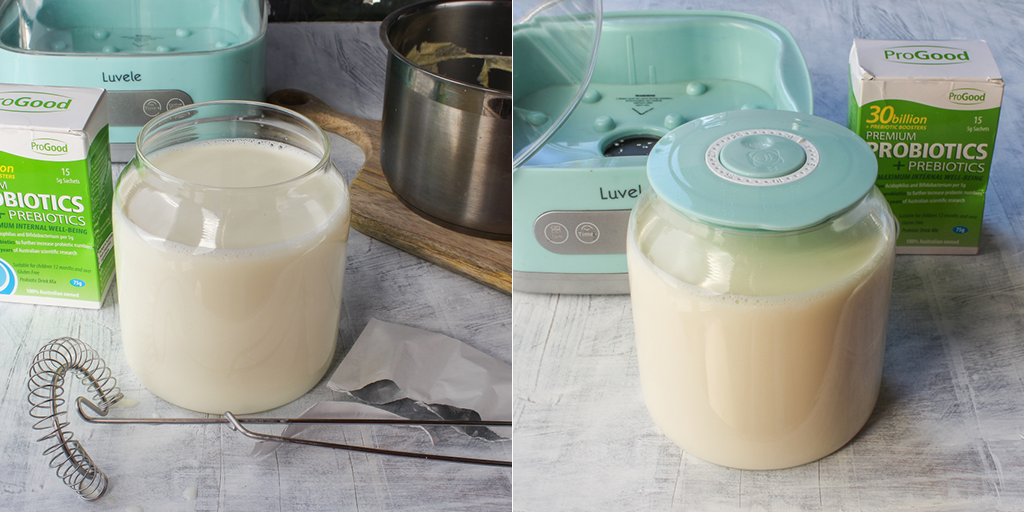 ProGood Probiotic homemade yogurt making