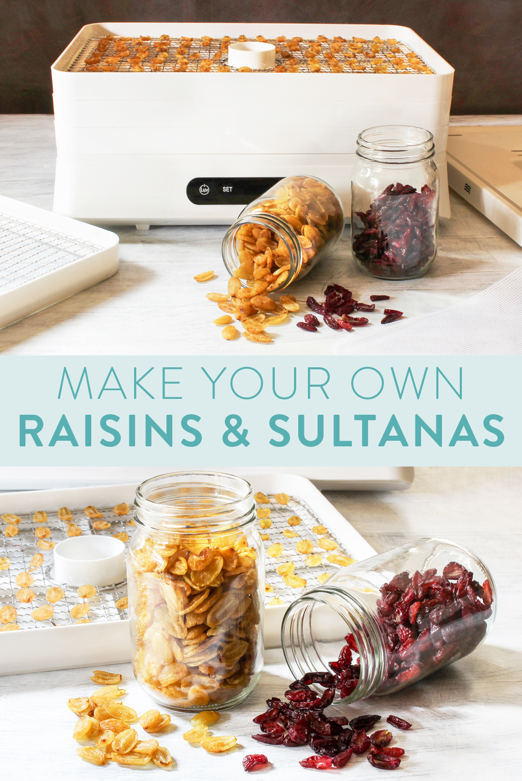 Making raisins in a food dehydrator
