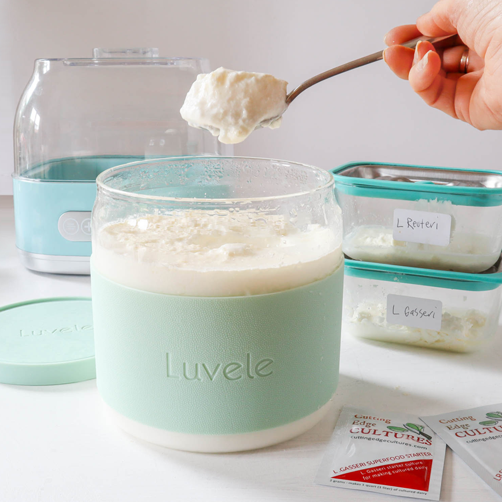 How to make probiotic yogurt at home - Luvele AU